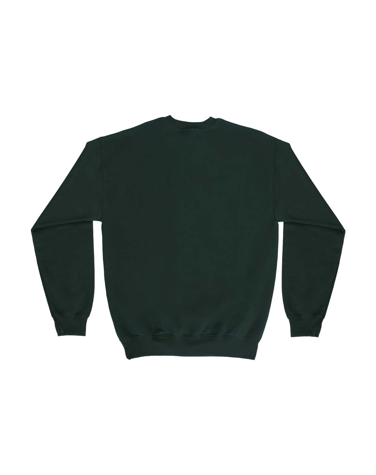 the green sweatshirt